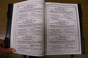 Laurens Co, GA, Marriages Book P, 1915 - 1924, White, P 360-361.JPG
