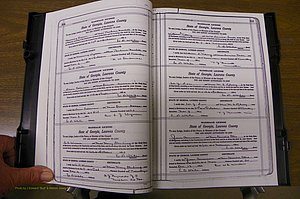 Laurens Co, GA, Marriages Book P, 1915 - 1924, White, P 364-365.JPG