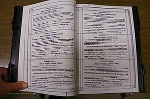 Laurens Co, GA, Marriages Book P, 1915 - 1924, White, P 366-367.JPG