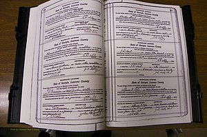 Laurens Co, GA, Marriages Book P, 1915 - 1924, White, P 376-377.JPG