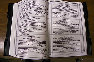 Laurens Co, GA, Marriages Book P, 1915 - 1924, White, P 388-389.JPG