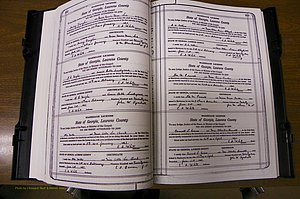 Laurens Co, GA, Marriages Book P, 1915 - 1924, White, P 392-393.JPG
