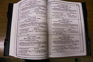 Laurens Co, GA, Marriages Book P, 1915 - 1924, White, P 394-395.JPG