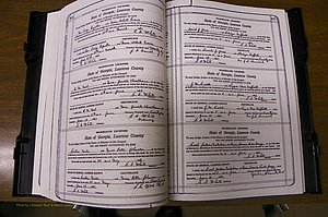 Laurens Co, GA, Marriages Book P, 1915 - 1924, White, P 402-403.JPG