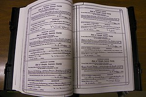 Laurens Co, GA, Marriages Book P, 1915 - 1924, White, P 420-421.JPG