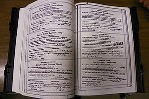 Laurens Co, GA, Marriages Book P, 1915 - 1924, White, P 440-441.JPG