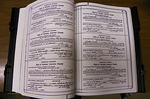 Laurens Co, GA, Marriages Book P, 1915 - 1924, White, P 444-445.JPG