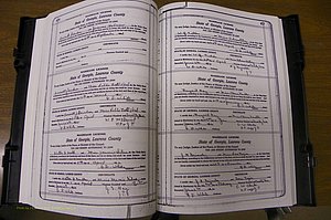 Laurens Co, GA, Marriages Book P, 1915 - 1924, White, P 456-457.JPG