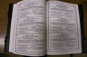 Laurens Co, GA, Marriages Book P, 1915 - 1924, White, P 460-461.JPG