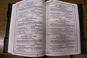 Laurens Co, GA, Marriages Book P, 1915 - 1924, White, P 478-479.JPG
