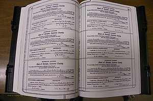 Laurens Co, GA, Marriages Book P, 1915 - 1924, White, P 486-487.JPG