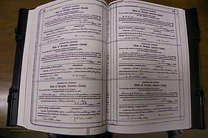 Laurens Co, GA, Marriages Book P, 1915 - 1924, White, P 488-489.JPG