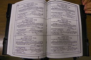 Laurens Co, GA, Marriages Book P, 1915 - 1924, White, P 504-505.JPG