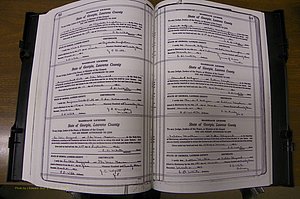 Laurens Co, GA, Marriages Book P, 1915 - 1924, White, P 512-513.JPG