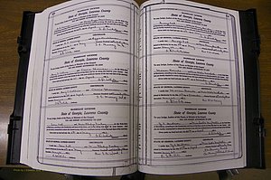 Laurens Co, GA, Marriages Book P, 1915 - 1924, White, P 520-521.JPG