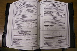 Laurens Co, GA, Marriages Book P, 1915 - 1924, White, P 528-529.JPG