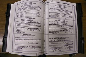 Laurens Co, GA, Marriages Book P, 1915 - 1924, White, P 530-531.JPG