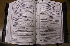 Laurens Co, GA, Marriages Book P, 1915 - 1924, White, P 536-537.JPG