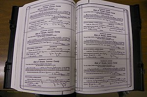 Laurens Co, GA, Marriages Book P, 1915 - 1924, White, P 538-539.JPG