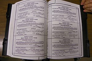 Laurens Co, GA, Marriages Book P, 1915 - 1924, White, P 544-545.JPG
