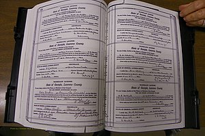 Laurens Co, GA, Marriages Book P, 1915 - 1924, White, P 554-555.JPG