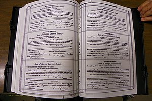 Laurens Co, GA, Marriages Book P, 1915 - 1924, White, P 566-567.JPG