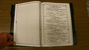 Laurens Co, GA, Marriages Book S, 1924 - 1934, White, P 001.JPG