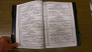 Laurens Co, GA, Marriages Book T, 1929 - 1938, Colored, P 004-005.JPG