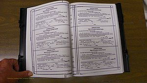 Laurens Co, GA, Marriages Book T, 1929 - 1938, Colored, P 006-007.JPG