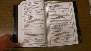 Laurens Co, GA, Marriages Book T, 1929 - 1938, Colored, P 012-013.JPG