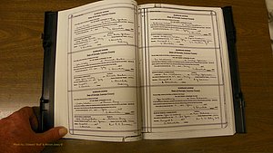 Laurens Co, GA, Marriages Book T, 1929 - 1938, Colored, P 016-017.JPG