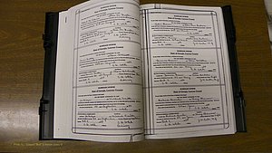 Laurens Co, GA, Marriages Book T, 1929 - 1938, Colored, P 020-021.JPG