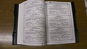 Laurens Co, GA, Marriages Book T, 1929 - 1938, Colored, P 022-023.JPG