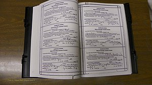 Laurens Co, GA, Marriages Book T, 1929 - 1938, Colored, P 024-025.JPG