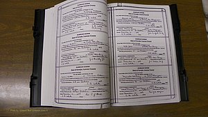 Laurens Co, GA, Marriages Book T, 1929 - 1938, Colored, P 032-033.JPG