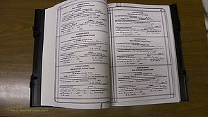 Laurens Co, GA, Marriages Book T, 1929 - 1938, Colored, P 034-035.JPG
