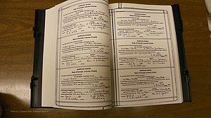Laurens Co, GA, Marriages Book T, 1929 - 1938, Colored, P 040-041.JPG