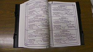 Laurens Co, GA, Marriages Book T, 1929 - 1938, Colored, P 050-051.JPG