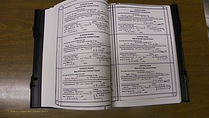 Laurens Co, GA, Marriages Book T, 1929 - 1938, Colored, P 054-055.JPG