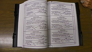 Laurens Co, GA, Marriages Book T, 1929 - 1938, Colored, P 088-089.JPG