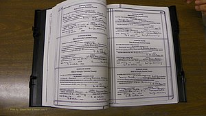Laurens Co, GA, Marriages Book T, 1929 - 1938, Colored, P 364-365.JPG