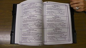 Laurens Co, GA, Marriages Book T, 1929 - 1938, Colored, P 434-435.JPG