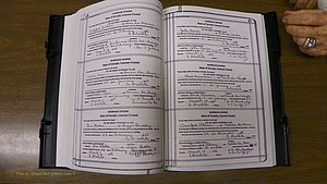 Laurens Co, GA, Marriages Book T, 1929 - 1938, Colored, P 436-437.JPG