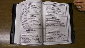Laurens Co, GA, Marriages Book T, 1929 - 1938, Colored, P 446-447.JPG
