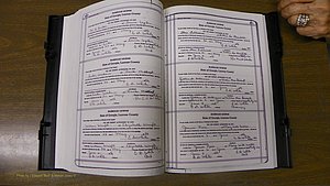 Laurens Co, GA, Marriages Book T, 1929 - 1938, Colored, P 450-451.JPG