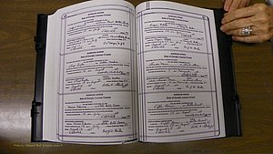 Laurens Co, GA, Marriages Book T, 1929 - 1938, Colored, P 546-547.JPG