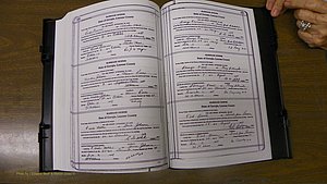 Laurens Co, GA, Marriages Book T, 1929 - 1938, Colored, P 558-559.JPG