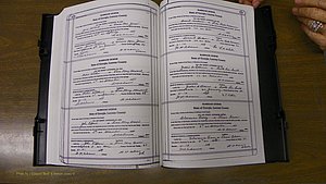 Laurens Co, GA, Marriages Book T, 1929 - 1938, Colored, P 578-579.JPG