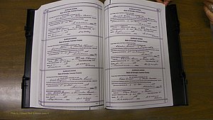 Laurens Co, GA, Marriages Book T, 1929 - 1938, Colored, P 582-583.JPG