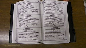 Laurens Co, GA, Marriages Book T, 1929 - 1938, Colored, P 584-585.JPG